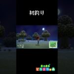あつ森はじめての釣りがまさかの….ｗ #あつまれどうぶつの森 #ゲーム実況#shorts