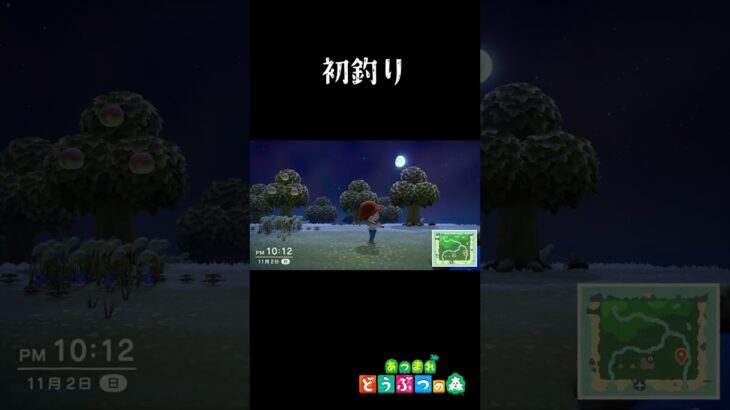 あつ森はじめての釣りがまさかの….ｗ #あつまれどうぶつの森 #ゲーム実況#shorts