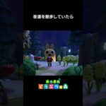 【あつ森】夜道を散歩していたら　#shorts