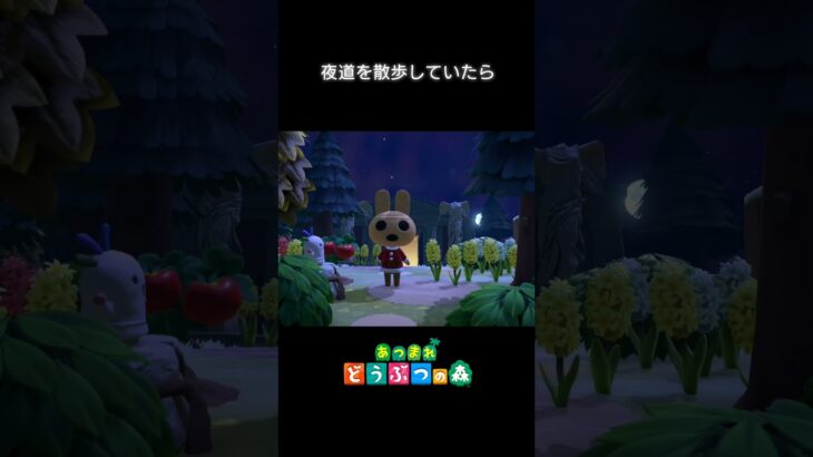 【あつ森】夜道を散歩していたら　#shorts