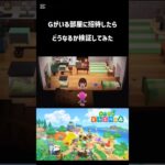 チッチごめんね#あつ森 #shorts