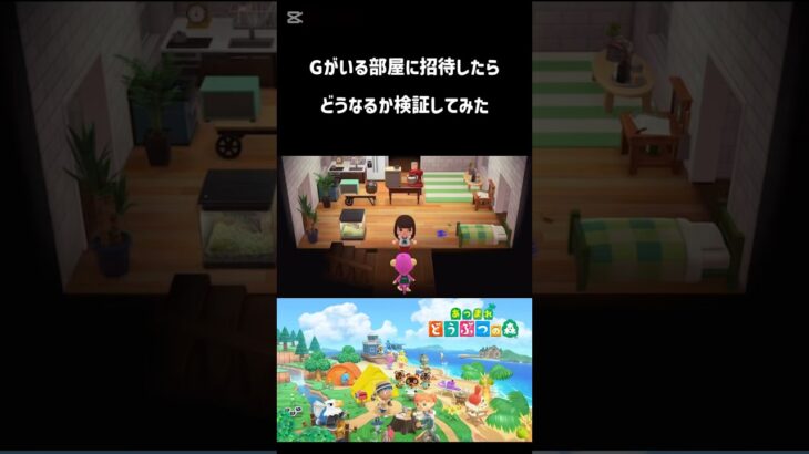 チッチごめんね#あつ森 #shorts