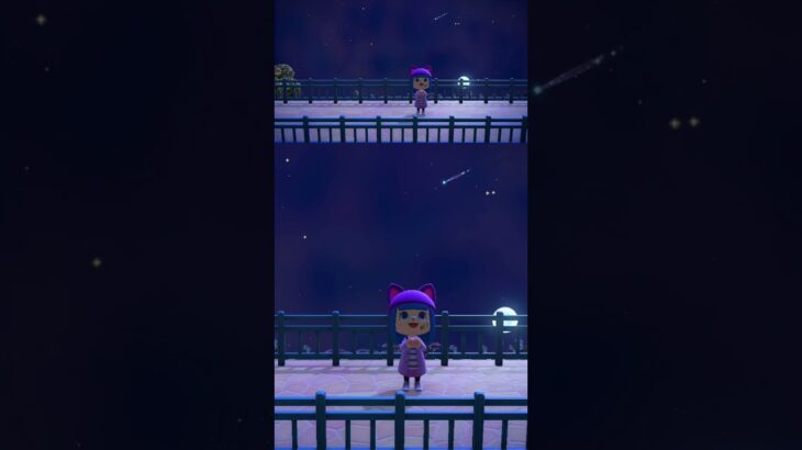 流れ星 🌠【あつまれどうぶつの森】 #あつまれどうぶつの森 #あつ森 #shorts