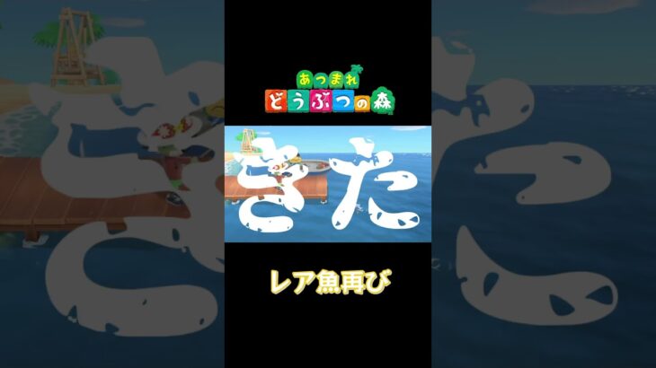 【あつ森】これはレア魚？ #あつまれどうぶつの森 #あつ森 #shorts