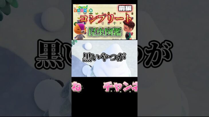 フンコロガシ捕まえていくか！#あつまれどうぶつの森 #あつ森 #どうぶつの森 #ゲーム実況 #ゲーム #shorts