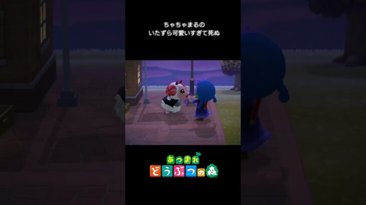 【あつ森】ちゃちゃまるのいたずら可愛すぎて死ぬ！　#shorts