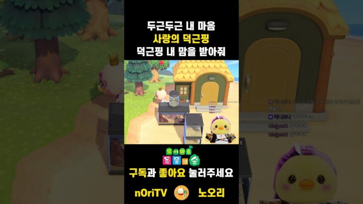 모동숲|🔥사랑의 덕근핑 #shorts