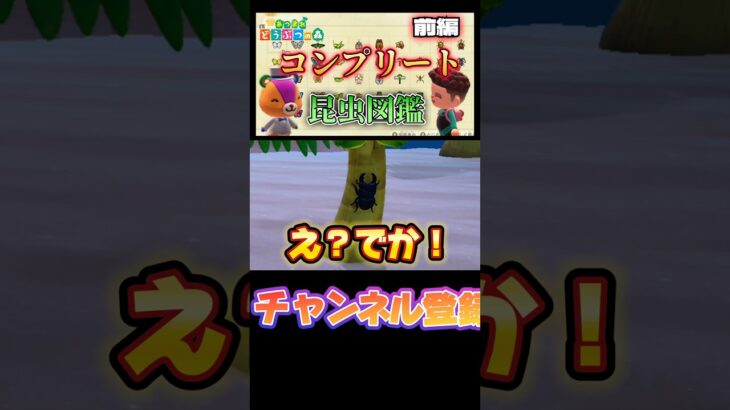 奇跡の出会い‼️ #あつまれどうぶつの森 #あつ森 #どうぶつの森 #ゲーム #ゲーム実況 #shorts