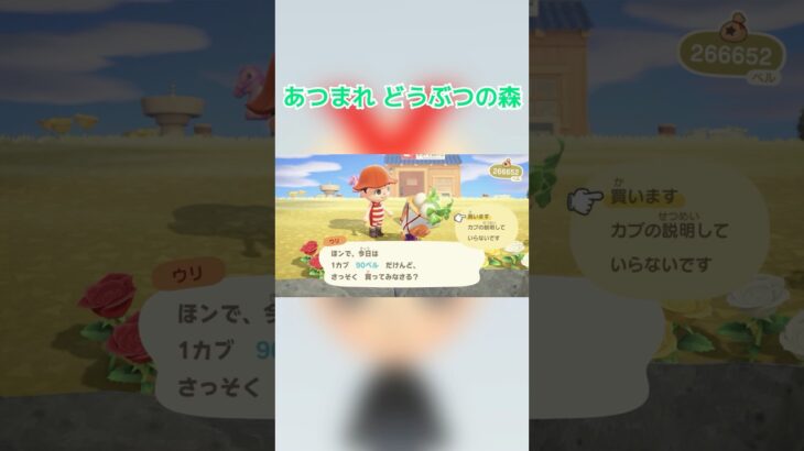 カブをどっさり#shorts#あつ森#ゲーム実況