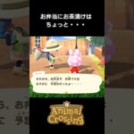 【あつ森】お弁当にお茶漬けはちょっと・・・　#shorts