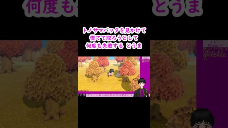 [あつ森/切り抜き]トノサマバッタを取ろうとするも失敗し続ける[実況とうま/ネタバレ] #shorts