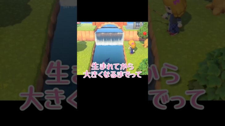 生命の神秘かぁ【あつまれどうぶつの森】#あつ森 #ゲーム実況 #shorts