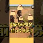 石橋は叩いて渡れぷ🍮#あつ森 #あつまれどうぶつの森 #shorts