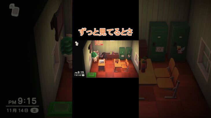 ティーチャーの可愛い所【あつ森】 #shorts #あつ森 #あつまれどうぶつの森 #animalcrossing #animalcrossingnewhorizons #acnh #switch