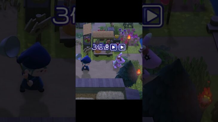 【あつ森】え‼️踏んでる‼️タランチュラ踏んでますよ‼️【※虫注意】 #あつ森 #あつまれどうぶつの森 #shorts #animalcrossingnewhorizons