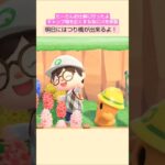 【あつ森】つり橋作ったよ！キャンプ場を広くする為に川を移動 @たーさんの趣味の部屋 #たーさんお仕事に行ったよ #shorts #s