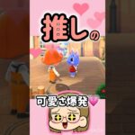 【あつ森】推しが可愛いから見て！😇💖#あつ森 #あつまれどうぶつの森 #ともちんのゲーム部屋 #shorts #short