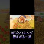 なんの用だったんだろうか……#shorts #あつ森 #switch  #ゲーム実況