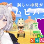 【あつ森】アプデに向けてハピパラしながら家具集め！#shorts #vtuber #あつまれどうぶつの森