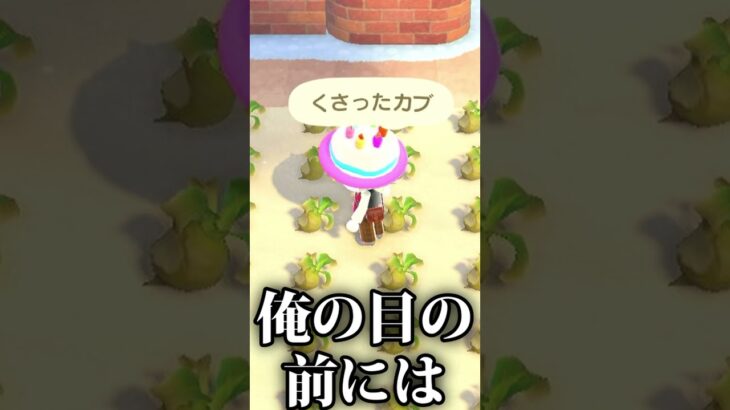 【あつ森】伝説の悪夢再来【切り抜き】#shorts #あつまれどうぶつの森 #あつ森  #切り抜き #vtuber