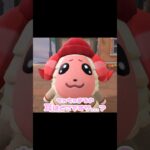 【初雪】寒くて耳が痛いらしいけどさ…？！？！#あつ森 #どうぶつの森 #あつまれどうぶつの森 #どう森 #shortvideo #shorts #short #初雪 #ちゃちゃまるの耳はどこですか