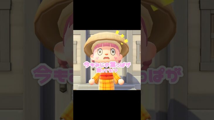 触れたら消えちゃう儚い｢もみじの葉っぱ｣…？！？！#あつ森 #どうぶつの森 #あつまれどうぶつの森 #どう森 #shortvideo #shorts #short #もみじのはっぱ