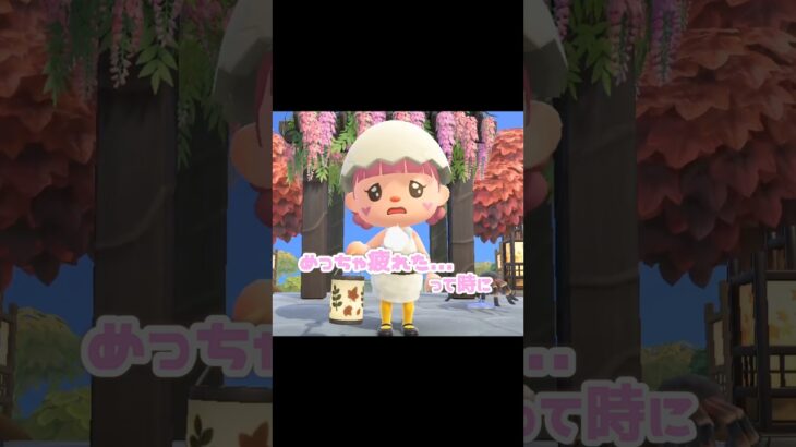 大好きなペットに癒されて疲れも吹っ飛ぶ…？！？！ #あつ森 #家族の紹介#どうぶつの森#勤労感謝の日  #あつまれどうぶつの森 #どう森 #shortvideo #shorts #short