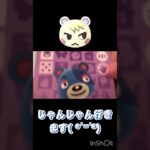 あつ森パック開封動画✨.ﾟ･*..☆#shots #amiibo