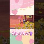 ももの日常生活#あつまれどうぶつの森 #あつ森 #日常生活  #あつ森switch