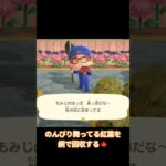 (switch)(あつ森)舞う紅葉を網取り　 #shorts