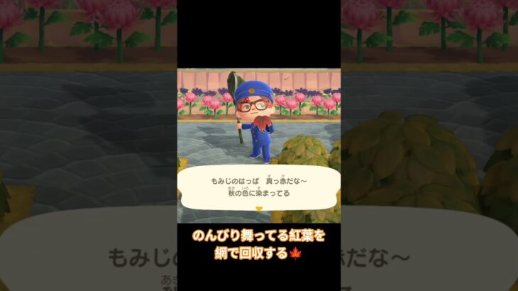 (switch)(あつ森)舞う紅葉を網取り　 #shorts