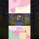 ブラックフライデー!!#あつ森 #あつまれどうぶつの森 #switch #ゲーム実況 #あつ森switch #実況 #ブラックフライデー