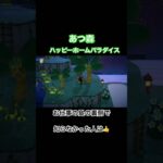 ハッピーホームパラダイスの島の裏側　#あつ森 #あつまれどうぶつの森 #あつ森switch #switch #nintendo