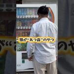 #switch #スイッチ #任天堂 #あつ森#あつまれどうぶつの森 #switch2 #ベル#西尾#西尾市#まっちゃりボーイ