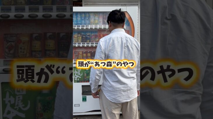 #switch #スイッチ #任天堂 #あつ森#あつまれどうぶつの森 #switch2 #ベル#西尾#西尾市#まっちゃりボーイ