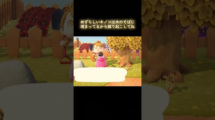 #あつまれどうぶつの森 #あつ森 #小ネタ #小技 #switch #ゲーム #ゲーム配信 #tiktok #チャンネル登録と高評価お願いします