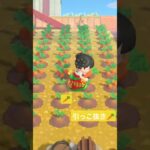 #かわいい #あつまれどうぶつの森 #switch2 #あつ森 #animalcrossing #ゲーム  #carrot　#switch　#任天堂