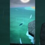 #あつ森#あつまれどうぶつの森#どうぶつの森#スイッチ#switch#ニンテンドー#任天堂#nintendo#動物#釣り#釣り竿#魚釣り#海#海の生物#海の生き物#化石#ハニワ