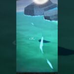 #あつ森#あつまれどうぶつの森#どうぶつの森#スイッチ#switch#ニンテンドー#任天堂#nintendo#動物#釣り#釣り竿#魚釣り#海#海の生物#海の生き物#化石#ハニワ