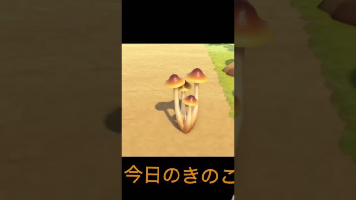きのこ #あつ森