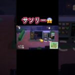 逃げ場なし💦 #あつ森 #あつまれどうぶつの森