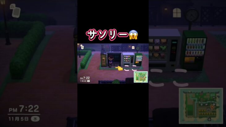 逃げ場なし💦 #あつ森 #あつまれどうぶつの森