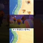 ロリポップを渡す #あつ森