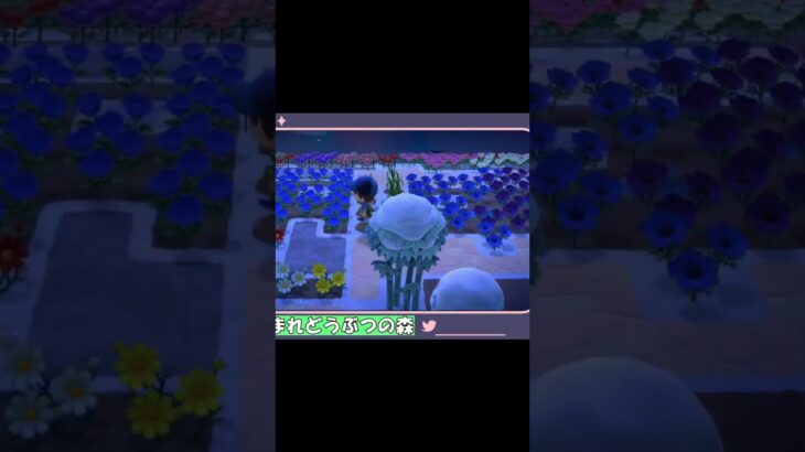 あつ森配信近々はじめます！！ #あつ森 #あつまれどうぶつの森 #ゲーム実況