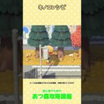 キノコレシピ #あつ森 #あつ森攻略講座  #あつ森季節レシピ #あつ森季節家具  #あつ森コンプ  #あつ森秋