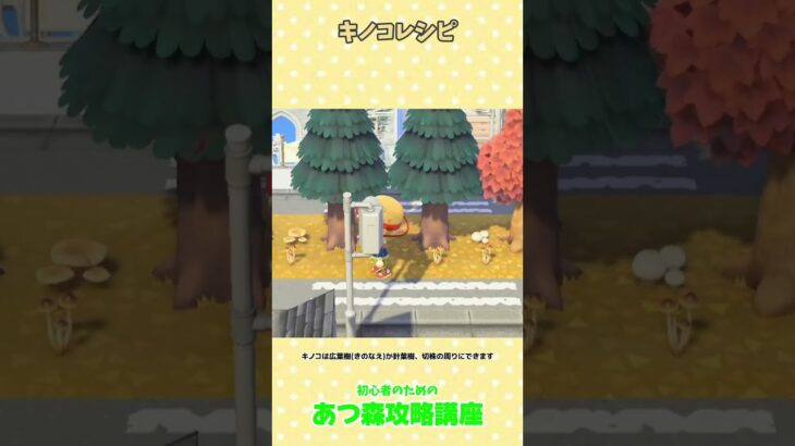 キノコレシピ #あつ森 #あつ森攻略講座  #あつ森季節レシピ #あつ森季節家具  #あつ森コンプ  #あつ森秋