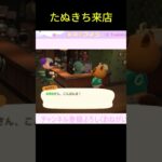 喫茶店にたぬきち来店☕️#ゲーム配信 #あつ森 #あつまれどうぶつの森