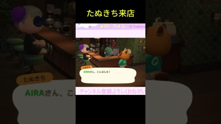 喫茶店にたぬきち来店☕️#ゲーム配信 #あつ森 #あつまれどうぶつの森