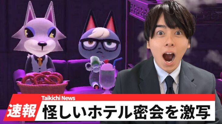 【あつ森】怪しいリゾートホテルでの密会を実況してみた
