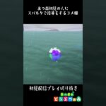 コメ欄にスパルタ教育を受けるあつ森初見の配信者ｗｗ #あつ森 #あつまれどうぶつの森#配信